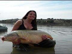 diverse cu fete sexy